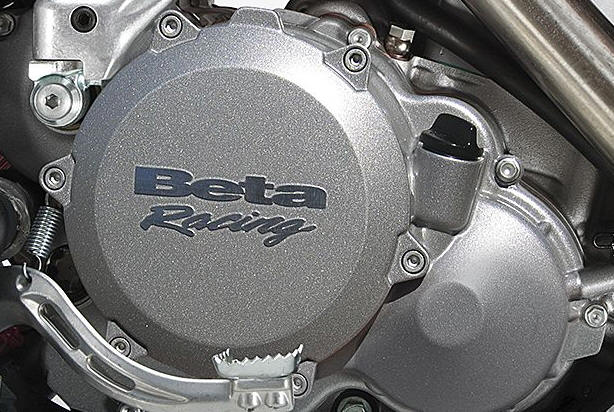 beta racomng immagini