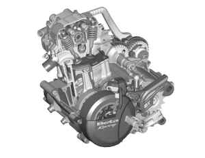 immagine motore beta rev 250 4 t