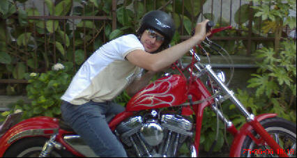 moto harley la moto dei tuoi sogni